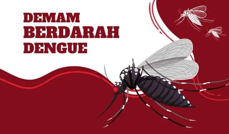 Kasus DBD Lamongan Meningkat, 6 Bulan 671 Kasus